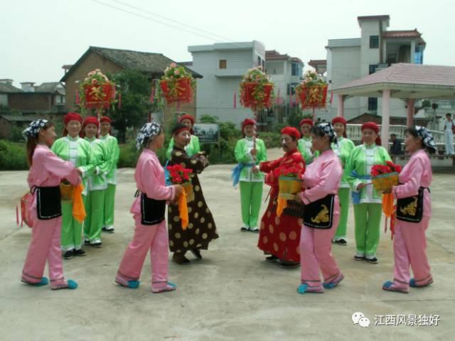 江西赏樱花风景区，走遍江西100县莲花县