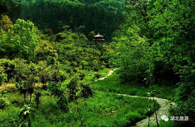 九虎山景区风景，<连载一百一十六>