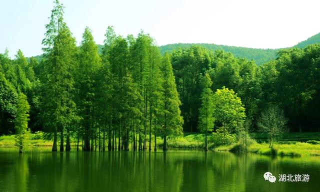 九虎山景区风景，<连载一百一十六>