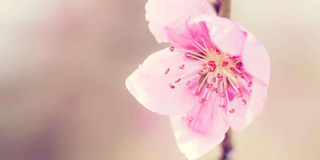 挽回女朋友的话，挽回女朋友的暖心话语大全