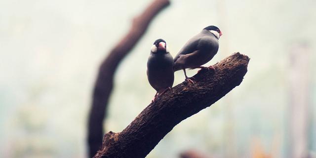 挽回女朋友的话，挽回女朋友的暖心话语大全