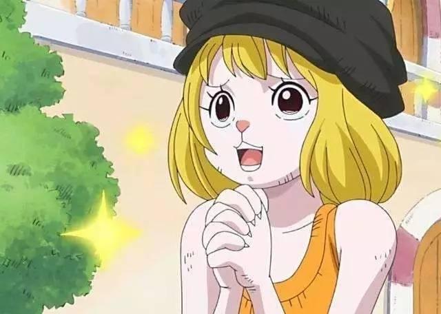 草帽海贼团第十一人，草帽海贼团第11人是谁