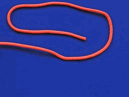 路亚钓鱼入门教程，路亚钓鱼第一要素（教你做个聪明的路亚新手）