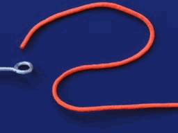 路亚钓鱼入门教程，路亚钓鱼第一要素（教你做个聪明的路亚新手）