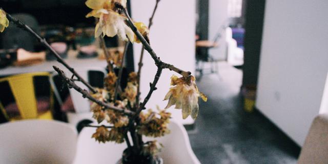 五十岁生日祝福语女士，女性50岁生日祝福语