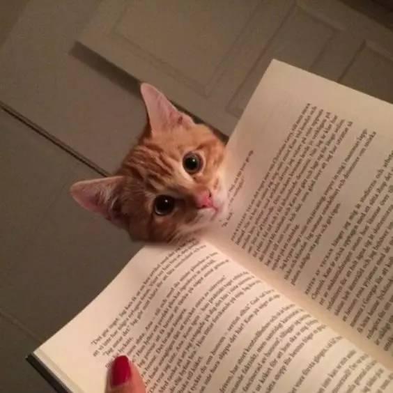 比较好的翻译软件有哪些，还有这5款好用的翻译工具