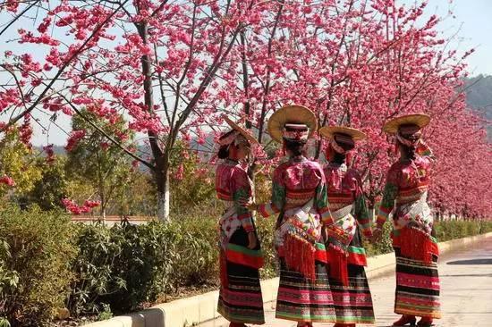 昆明一年四季如春旅游景点推荐，这是距昆明最近的世外仙境