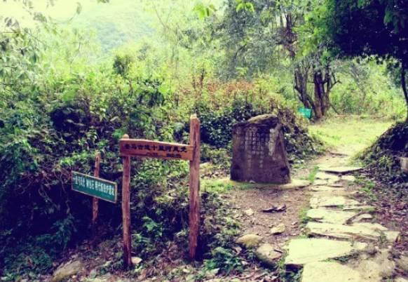 昆明一年四季如春旅游景点推荐，这是距昆明最近的世外仙境