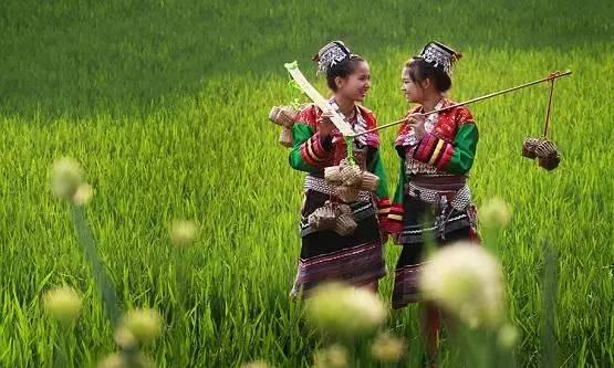 昆明一年四季如春旅游景点推荐，这是距昆明最近的世外仙境