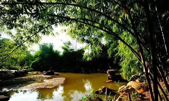 昆明一年四季如春旅游景点推荐，这是距昆明最近的世外仙境