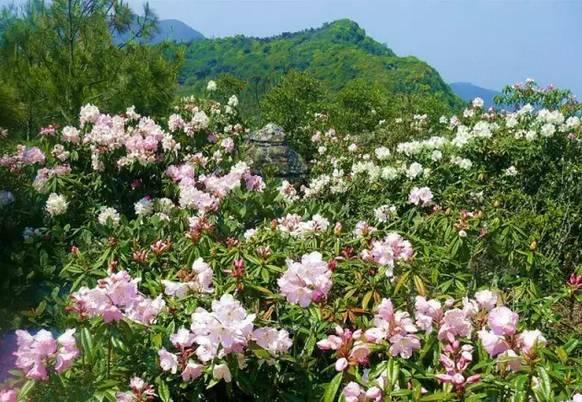 昆明一年四季如春旅游景点推荐，这是距昆明最近的世外仙境