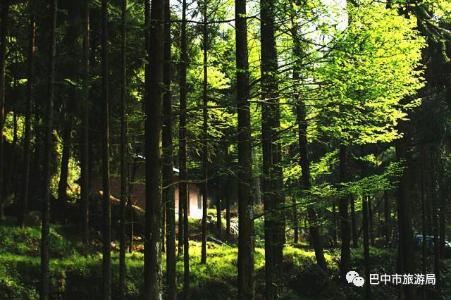 龙山国家森林公园，成都周边森林公园有哪些景点（“五一”游涟源最全旅游攻略来了）