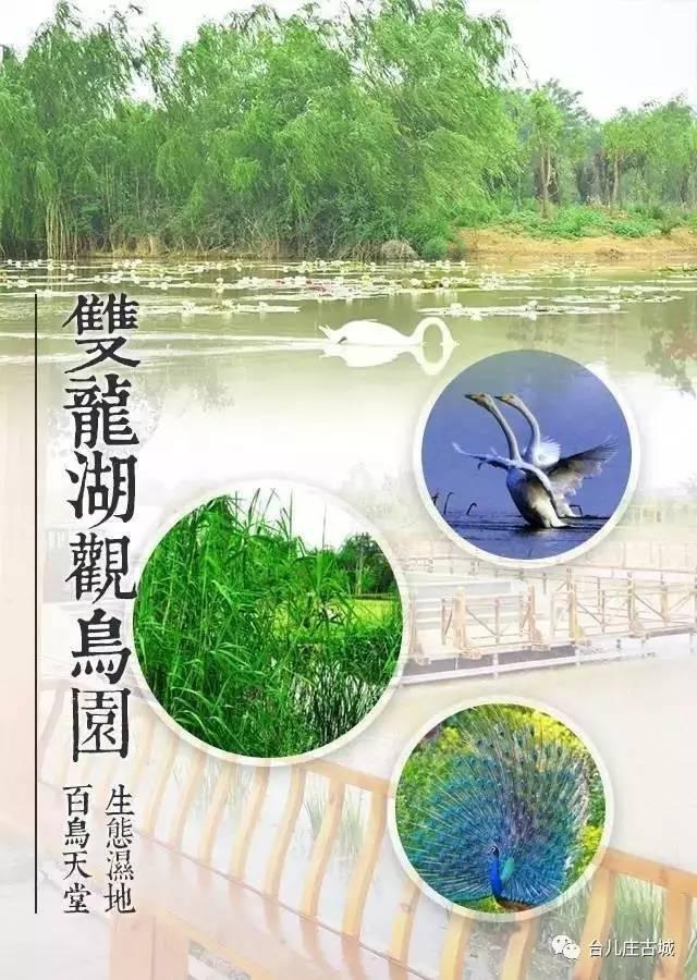 台儿庄古城游玩攻略，最全台儿庄古城攻略