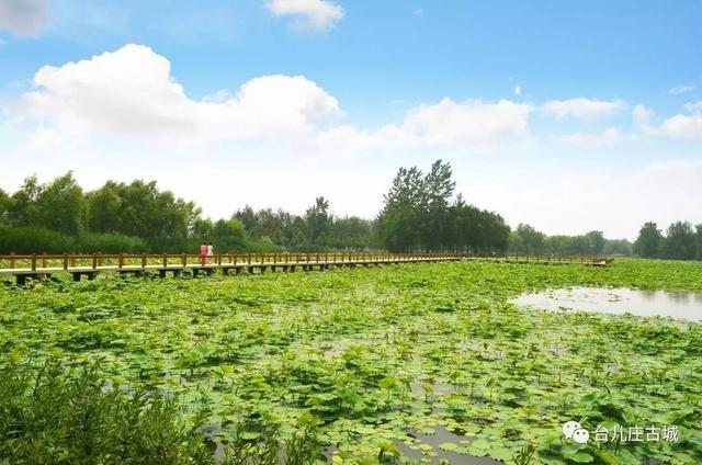 台儿庄古城游玩攻略，最全台儿庄古城攻略