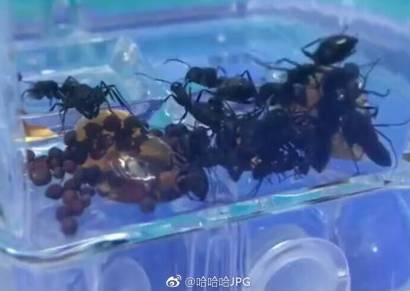情人节送闺蜜什么礼物这是一份以分手为目的的七夕送礼指南
