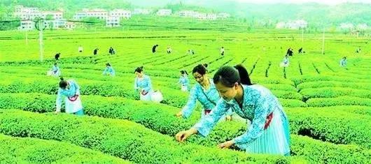 湖北10大精品自驾路线，小长假湖北省内自驾游去哪好玩