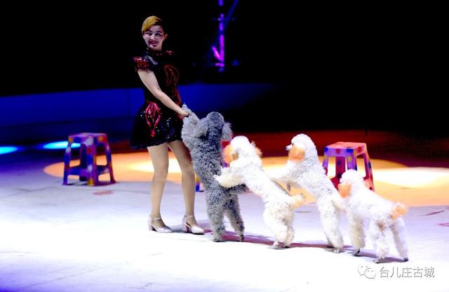 台儿庄古城游玩攻略，最全台儿庄古城攻略