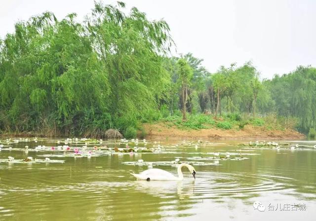 台儿庄古城游玩攻略，最全台儿庄古城攻略