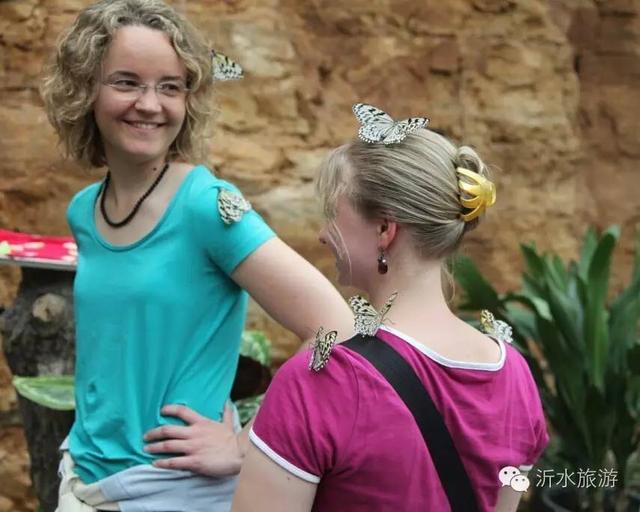 沂水大峡谷十大景点，今日推荐这才叫沂水