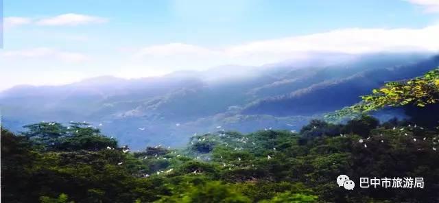龙山国家森林公园，成都周边森林公园有哪些景点（“五一”游涟源最全旅游攻略来了）