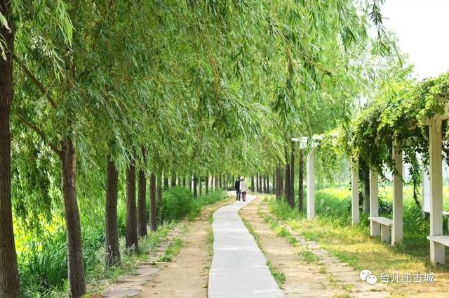 台儿庄古城游玩攻略，最全台儿庄古城攻略