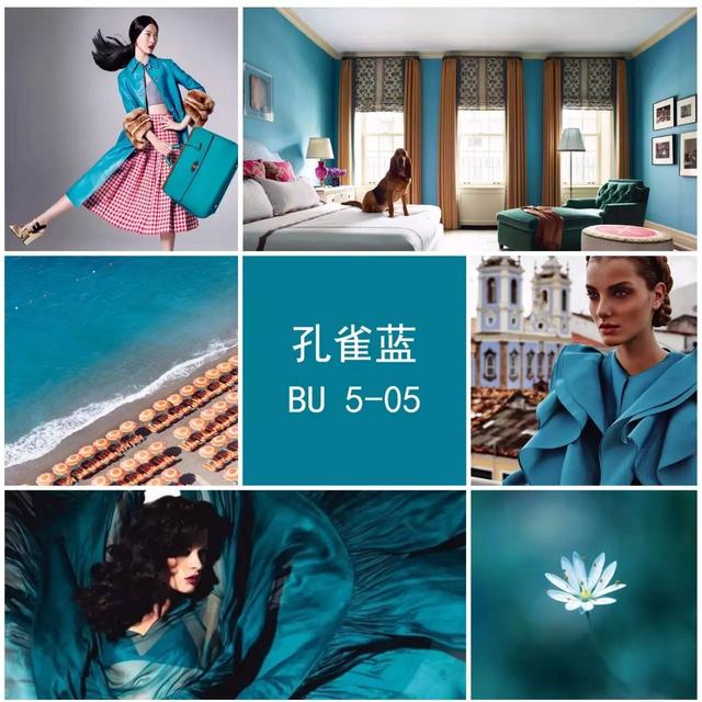 孔雀蓝颜色搭配什么颜色好看，小诀窍让您穿搭更好看更时尚