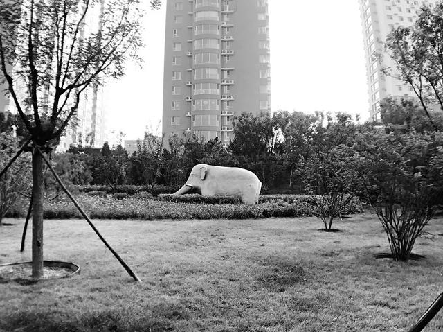 太原迎泽公园在哪儿，太原市内最大公园