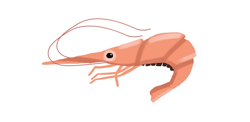 海鲜和橙汁一起吃好吗，海鲜搭配果汁真的会中剧毒