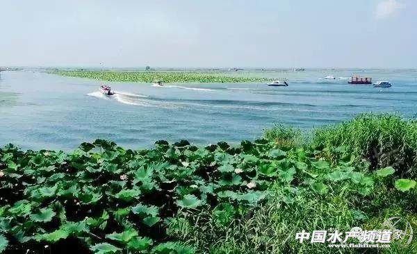 大闸蟹正宗出产地在哪里，这22个产区的大闸蟹你知道多少