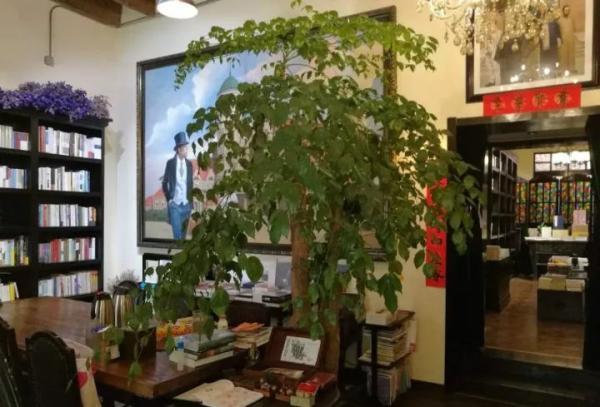 厦门的新华书店有哪些，厦门书游记时间太短