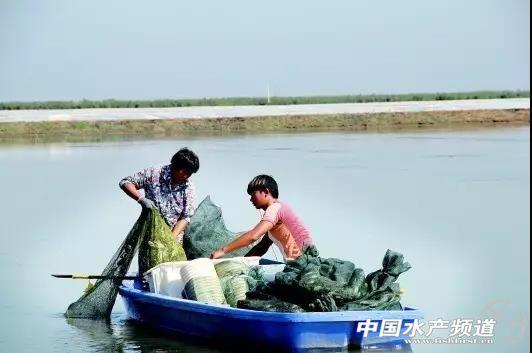 大闸蟹正宗出产地在哪里，这22个产区的大闸蟹你知道多少