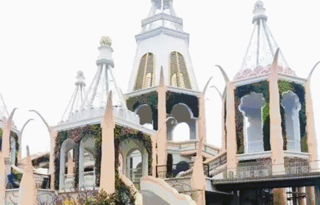 浦江郊野公园百科简介，郊野森林公园长假逐个走