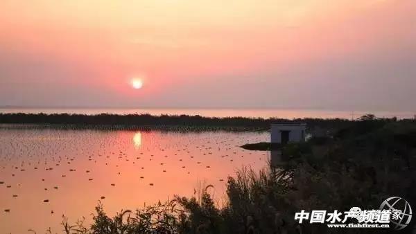 大闸蟹正宗出产地在哪里，这22个产区的大闸蟹你知道多少