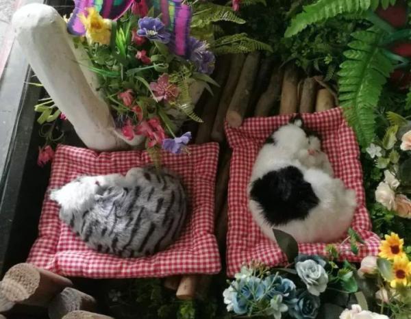 厦门的新华书店有哪些，厦门书游记时间太短