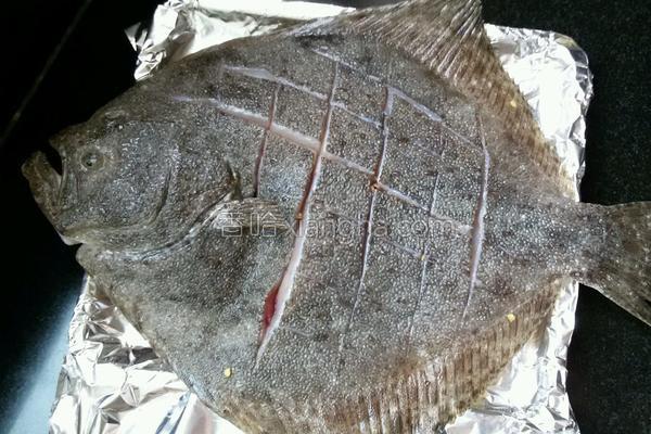 香煎多宝鱼怎么腌制，烤多宝鱼