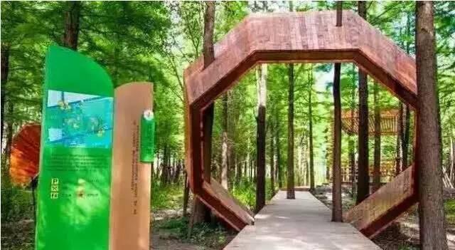 浦江郊野公园百科简介，郊野森林公园长假逐个走