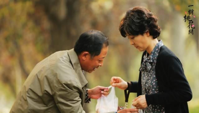 王志文徐帆电视剧一树桃花开剧照，《一树桃花开》徐帆拍桌子隔着屏幕都感到疼