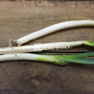 88种正宗湘菜做法，无辣不欢的酣畅