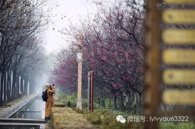 洛阳一日游最美旅游景点，史上最全洛阳旅游精品攻略