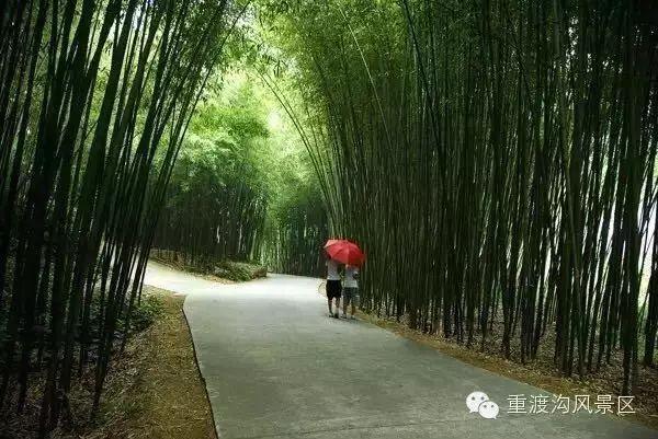 洛阳一日游最美旅游景点，史上最全洛阳旅游精品攻略