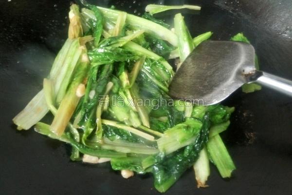 油麦菜需要焯水吗，炒油麦菜需要焯水吗（蚝油油麦菜）