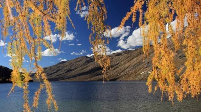 318旅行沿途风景地图，不期而遇的风景向你扑面而来……
