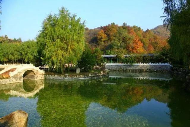 大杨山国家森林公园，大杨山国家森林公园（大杨山国家森林公园开放时间）