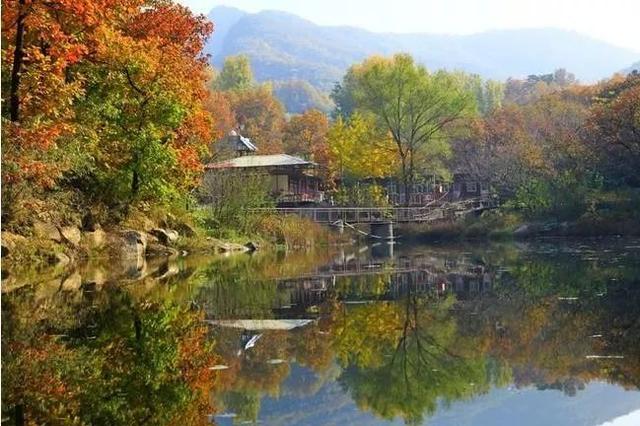 大杨山国家森林公园，大杨山国家森林公园（大杨山国家森林公园开放时间）