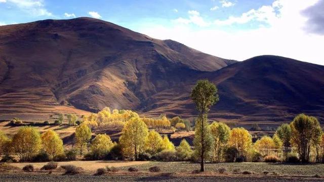 318旅行沿途风景地图，不期而遇的风景向你扑面而来……