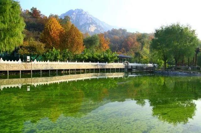 大杨山国家森林公园，大杨山国家森林公园（大杨山国家森林公园开放时间）