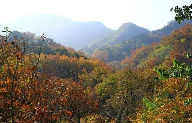 大杨山国家森林公园，大杨山国家森林公园（大杨山国家森林公园开放时间）
