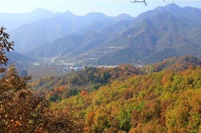 大杨山国家森林公园，大杨山国家森林公园（大杨山国家森林公园开放时间）