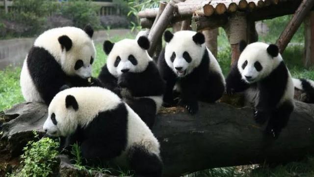 318旅行沿途风景地图，不期而遇的风景向你扑面而来……