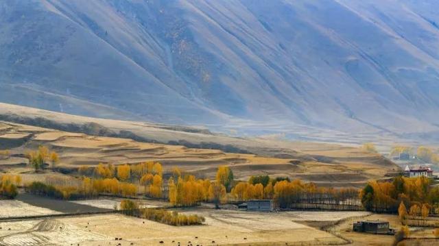 318旅行沿途风景地图，不期而遇的风景向你扑面而来……
